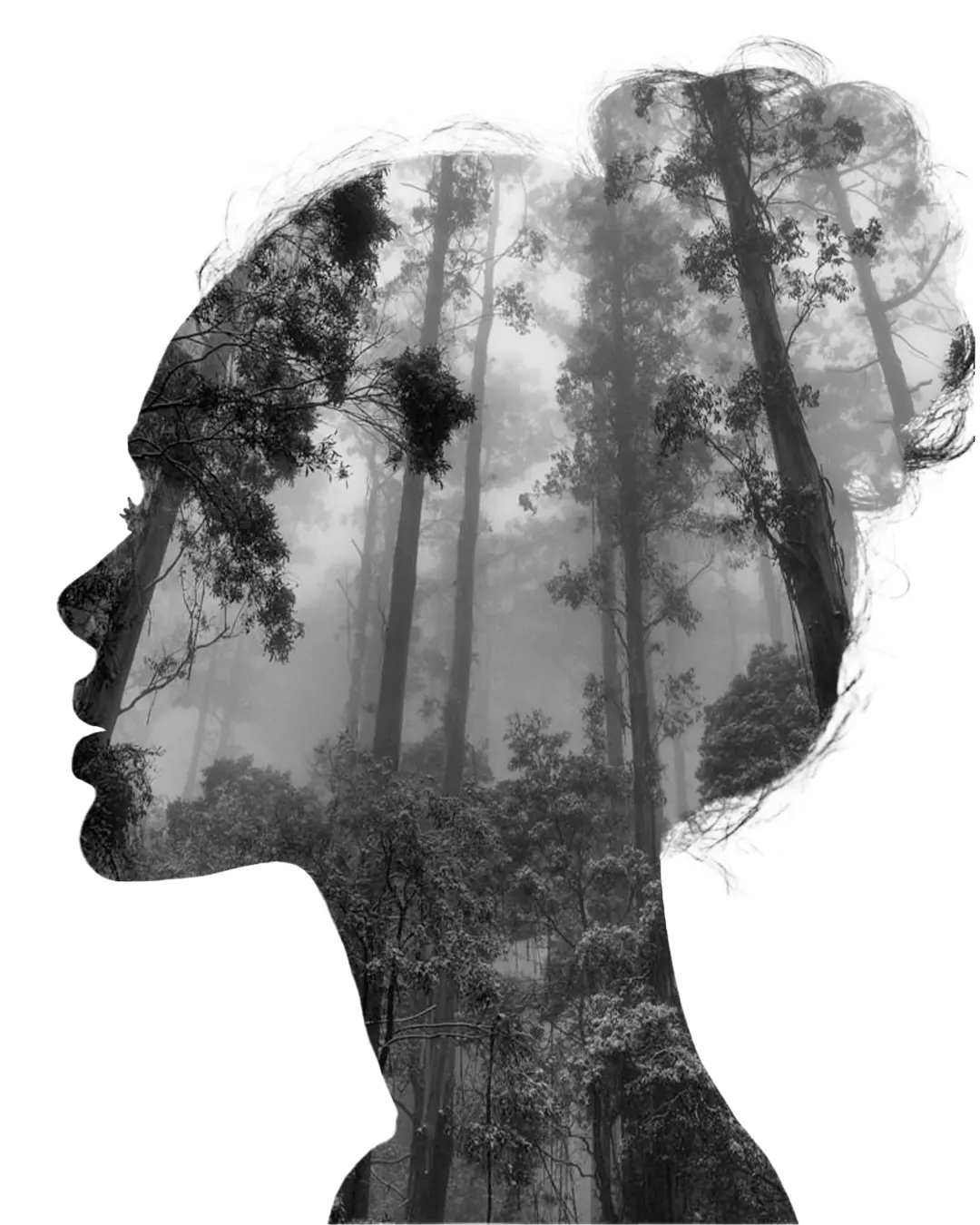Double Exposure Photoshop Work